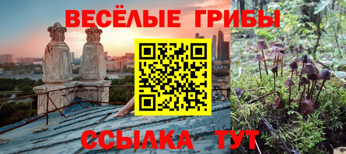 Строитель  Галлюциногенные грибы Psilocybe  Вход с VPN 
