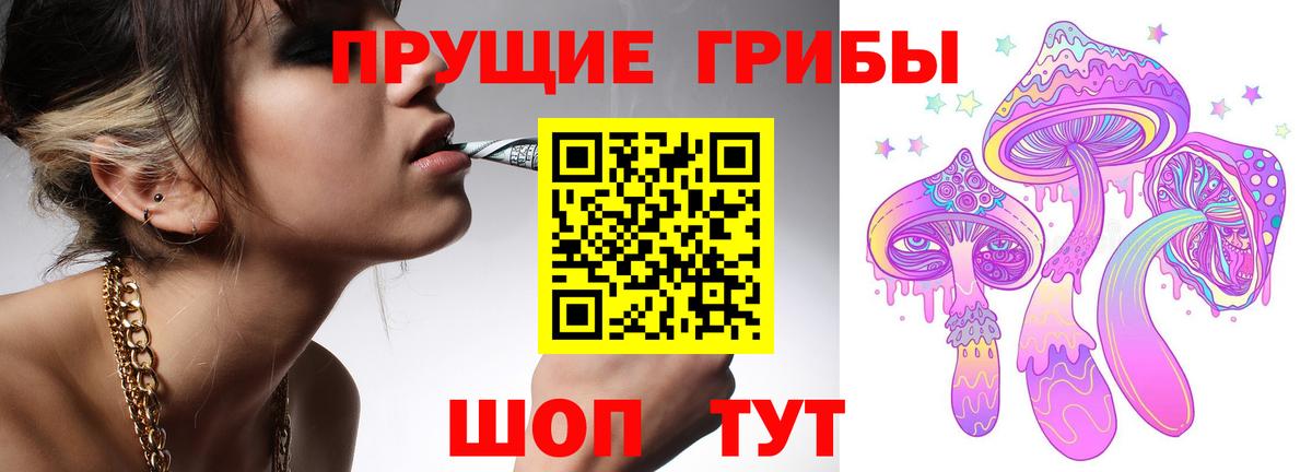 Псилоцибиновые грибы Строитель